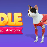 Idle Animal Anatomy