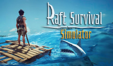 Raft Evolution