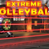 Extreme Volleyball