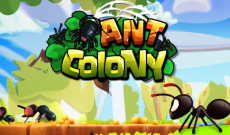 ANT COLONY