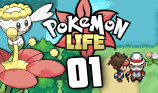 Pokemon Life img