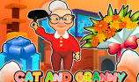 Cat And Granny img
