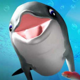 Dolphin Life Dolphin Life